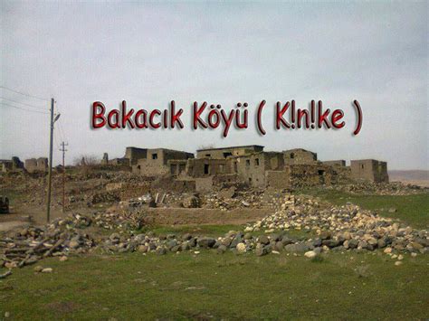 Bakacik Halı ve Koltuk Yıkama