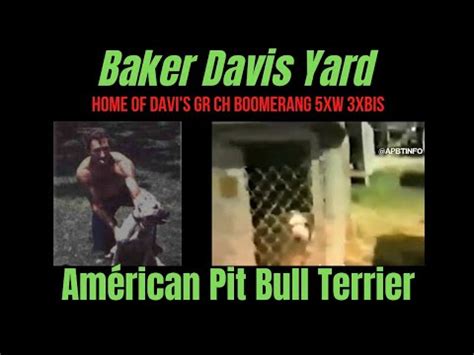 Baker Davis Video Amman