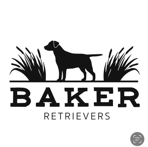 Baker Retrievers - Home - Facebook