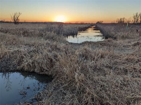 The Baker University wetlands boast one of the most diverse habitats in Kansas. They’ve spotted more than 275 species of birds and 487 plant species in the wetlands. Stop by the Wetlands Discovery Center to learn about the area and then go on a hike or attend a program to explore and learn more.. 