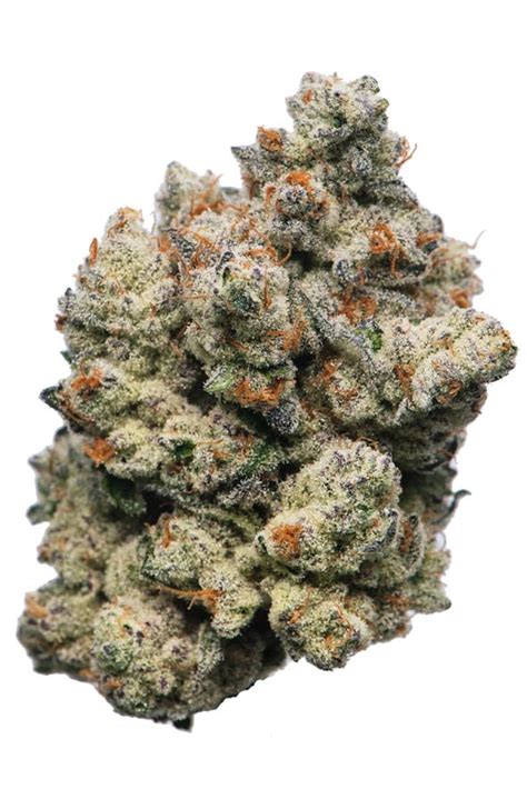 Bakers dozen strain. Things To Know About Bakers dozen strain. 