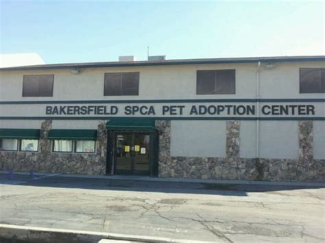 Bakersfield spca. The Bakersfield SPCA's 'Kids and Critters' day camp is an opportunity for kids to learn about responsibility while helping shelter dogs find their forever homes. 1 weather alerts 1 closings/delays. 