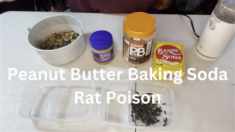 Baking soda and peanut butter rat poison. Plaster of Paris is a type of rat and mice poison made from powdered gypsum and water. It is most commonly used as a molluscicide, but it can also be used to kill rats. Plaster of Paris is most effective when the bait is placed in areas where the rodents are likely to travel, such as behind doors or around the edges of furniture. 