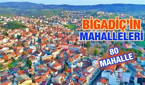 Balıkesir Bigadic Balatli Mahallesi terapi halı yıkama