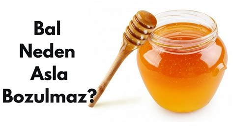 Bal Neden Bozulmaz YouTube. 