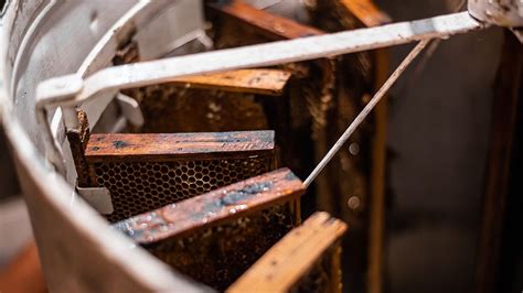 Bal Süzme & Toplama Makineleri Modelleri ve Fiyatları n11. 