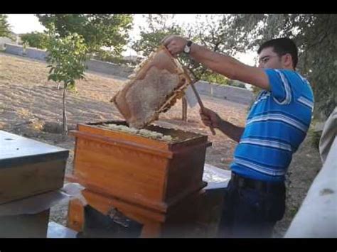 Bal kesimi/hasatı.. Honey harvest.. . . . . . #Muğla #Fethiye. 