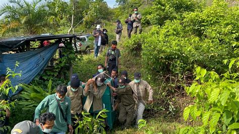 Balai Besar Konservasi Sumber Daya Alam Sumatera Utara