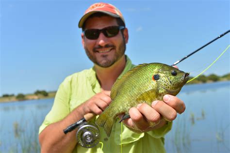 Balanced Bass-Bluegill Pond - Oklahoma Department of Wildlife Conservation