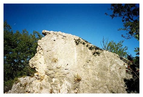 Balandiz Halı ve Koltuk Yıkama