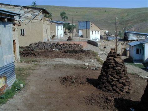 veodersti.rgarabwor.edu.pl. 