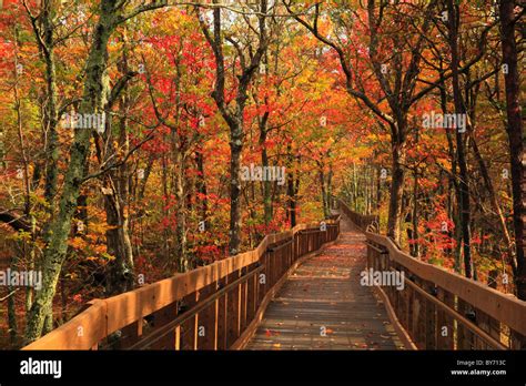 Bald Rock Boardwalk and Trail at Cheaha State Park