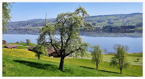 Baldeggersee - Kanton Luzern