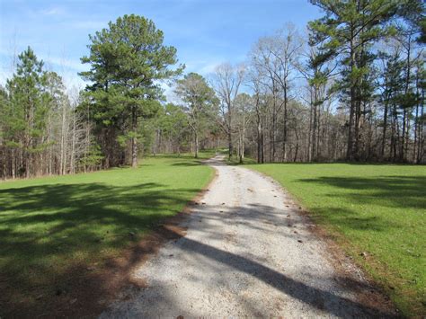 Baldwin County, AL Hunting Land for Sale - 25 Listings