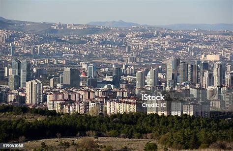 codini.rgarabwor.edu.pl. 