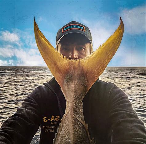 Balikavi Halı ve Koltuk Yıkama