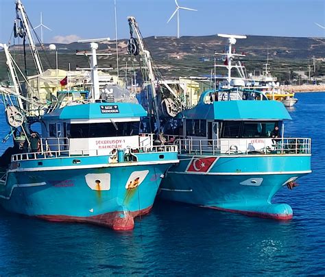 Balikcilar Halı ve Koltuk Yıkama