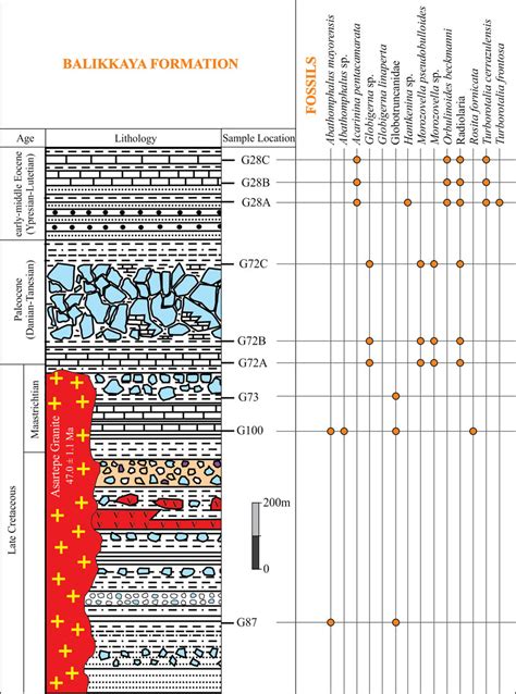 Balikkaya Halı ve Koltuk Yıkama