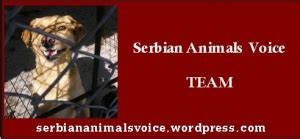 Balkan Animal Rescue - YouTube