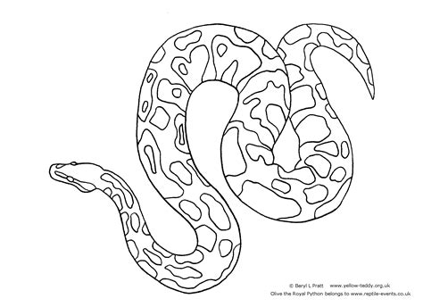 Ball Python Coloring Drawings Ball Python Coloring Pages, Coloring Home