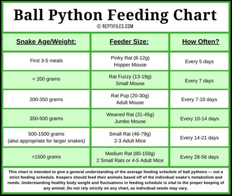This chart should help you determine the right size prey for your ball python, regardless of age or weight, along with their desired feeding schedule. ... What Baby Ball Pythons Eat. According to the chart above, a hatchling ball python should eat hopper mice or pinky rats no larger than 8-12 grams.. 