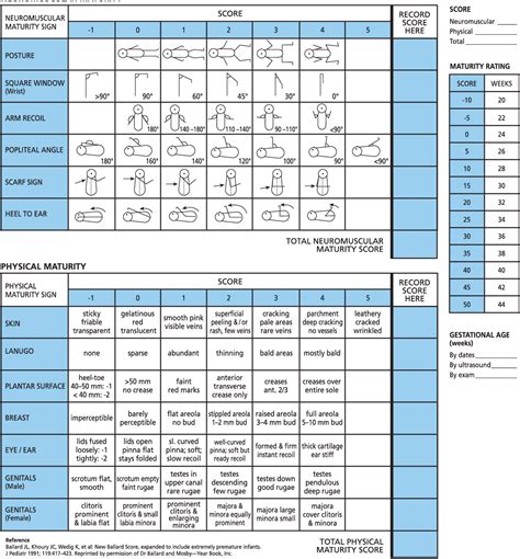Ballard Score PDF