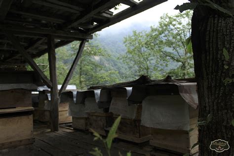 Ballibag Halı ve Koltuk Yıkama