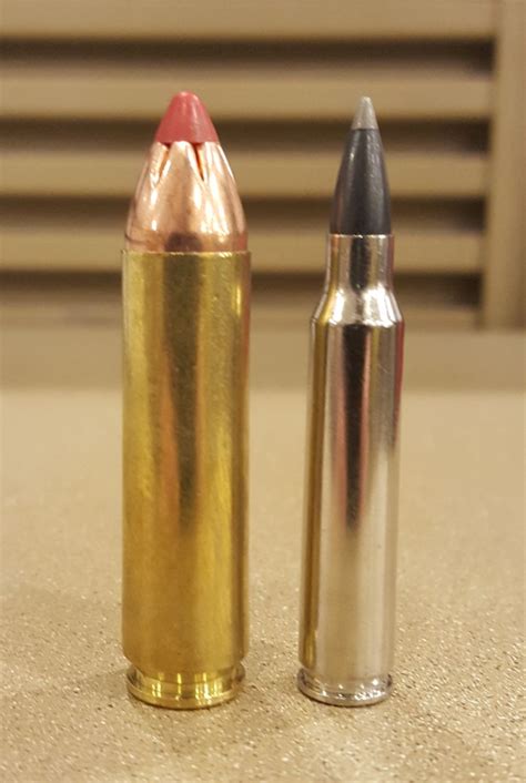 Ballistics of a 450 bushmaster. The 450 Bushmaster, on the other hand, is a relative newcomer to the hunting community and looks to transform the AR-15 into a rifle capable of taking down a whitetail in a single shot. Although the 450 Bushmaster does an admirable job increasing the stopping power of the AR platform, 30-06 ballistics are simply better in virtually every ... 