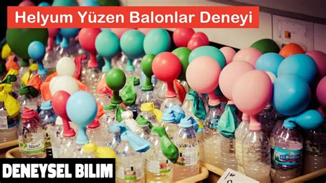 codini.rgarabwor.edu.pl. 