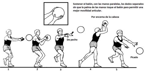 Baloncesto   analisis de gestos tecnicos y accione. - Fundamentals of database systems 6th edition solution manual free download.