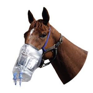 Balsaneb aerosol - Nebulization of the horse - Véto products