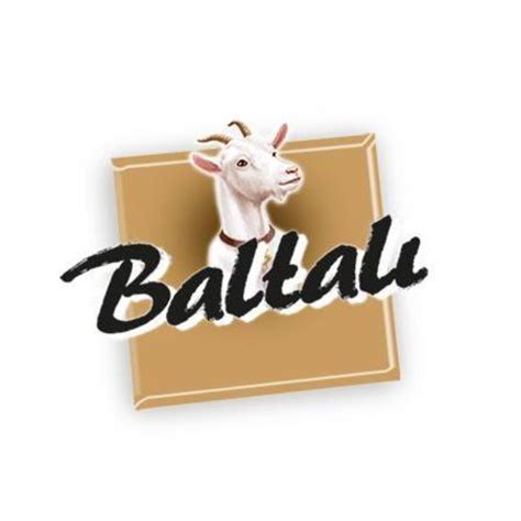 Baltali Halı ve Koltuk Yıkama