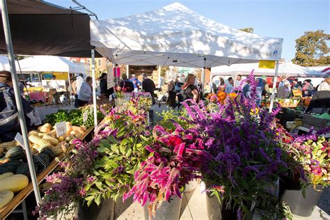 Baltimore farmers market. The Baltimore Farmers’ Market returns for its 47th season on Sunday, April 7! The Market opens at 7:00 a.m. underneath the Jones Falls Expressway (JFX) at Holliday and Saratoga Streets and will ... 