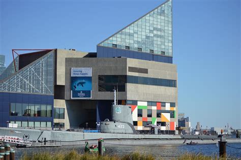 Baltimore national aquarium military discount. No AAA discount. not at aquarium no... hotels and car rentals yes u can . AAA and military discounts are available but not at the Aquarium itself. You must buy at AAA or on base, then confirm times at the will call at the Aquarium. We saved $5 per adult and $3 per child purchasing at a Mid Atlantic AAA. 