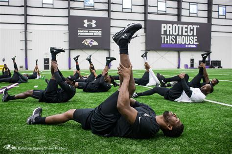 Baltimore ravens strength and conditioning manual. - Bill bailey remarkable guide to the orchestra.