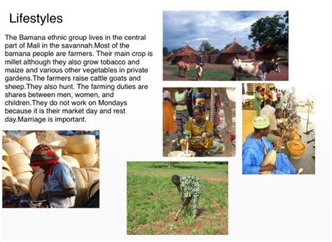 Bamana Ethnic Group Screen 3 on FlowVella Presentation Software for