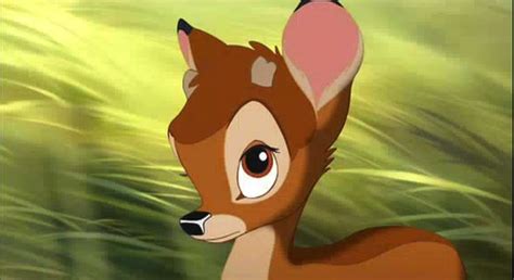 Bambi 365