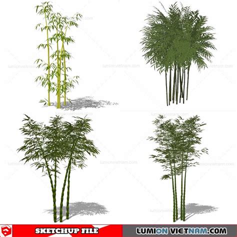 Bamboo - Sketchup Models By Cuong Covua - Lumion Việt Nam