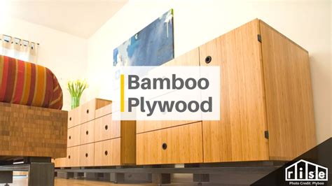 Bamboo Plywood: A Comprehensive Guide - Rise