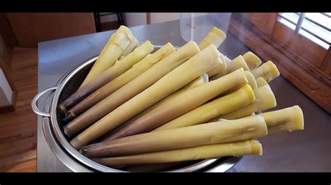 Bamboo Shoots - ThaiTable.com