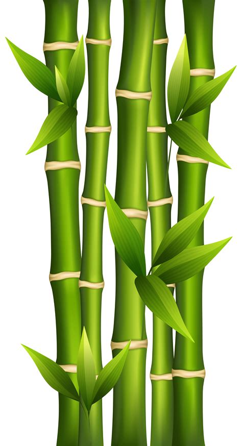 Bambu sayıları
