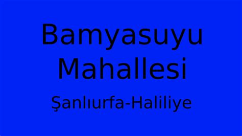 Bamyasuyu Halı ve Koltuk Yıkama