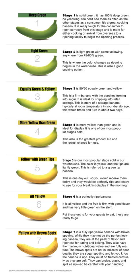 Banana guide. Things To Know About Banana guide. 