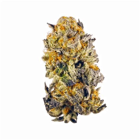calming energizing. Banana OG and Purple Punch F2 come together in this frosty treat by Alien Labs. Banana Milk buds come drenched in trichomes and have delicious fruity banana terpenes, making this strain uniquely delicious. It offers consumers a heavy high that may have medicinal properties for people dealing with chronic pain or appetite loss.. 