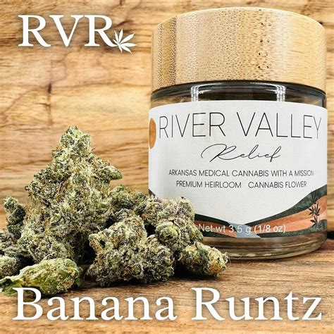 Get details and read the latest customer reviews about BANANA RUNTZ - GREY LABEL 7G by STIIIZY on Leafly. Leafly. Shop legal, local weed. Open. advertise on Leafly..