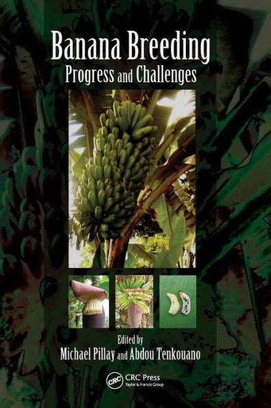 Download Banana Breeding Progress And Challenges By Michael Pillay