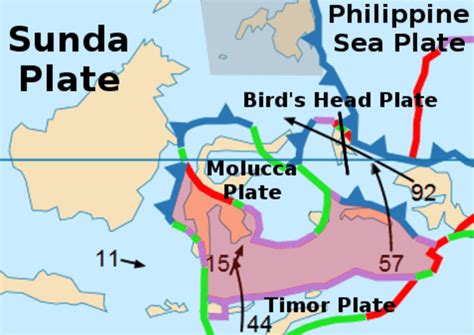 Banda Sea Plate - Wikipedia