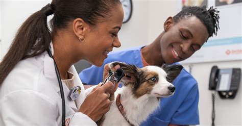 Banfield Pet Hospital hiring Veterinary Assistant - 000172 in Salt …