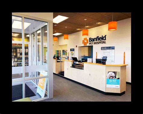 Banfield animal clinic. Things To Know About Banfield animal clinic. 
