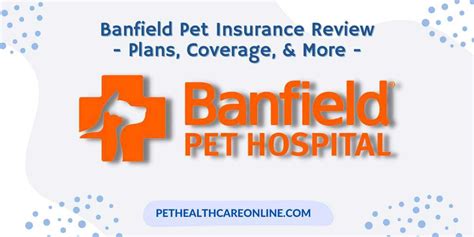 Banfield pet insurance reviews. Things To Know About Banfield pet insurance reviews. 